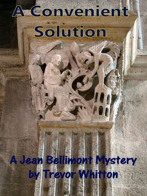 cover image of A Convenient Solution